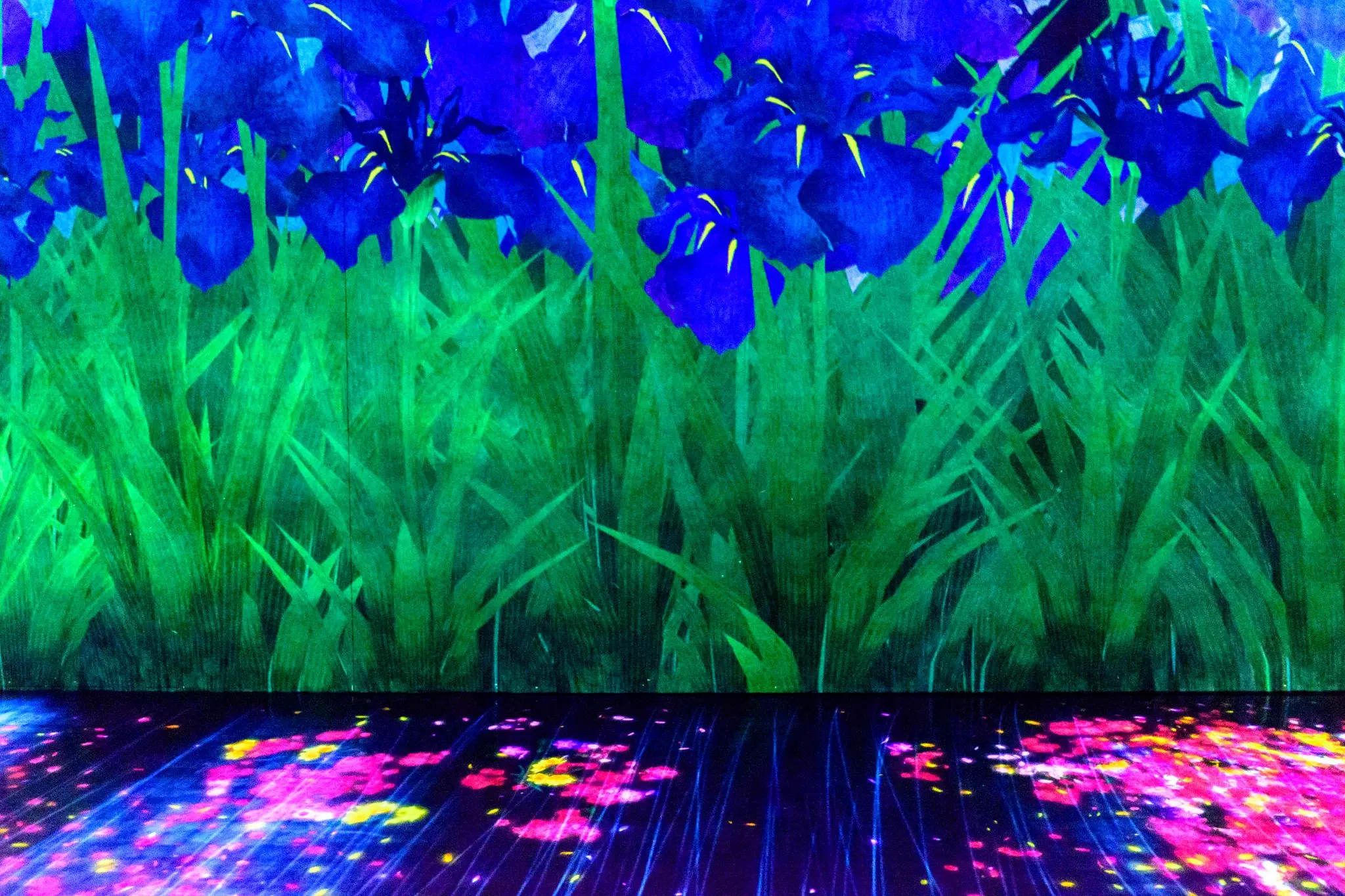 teamLab
