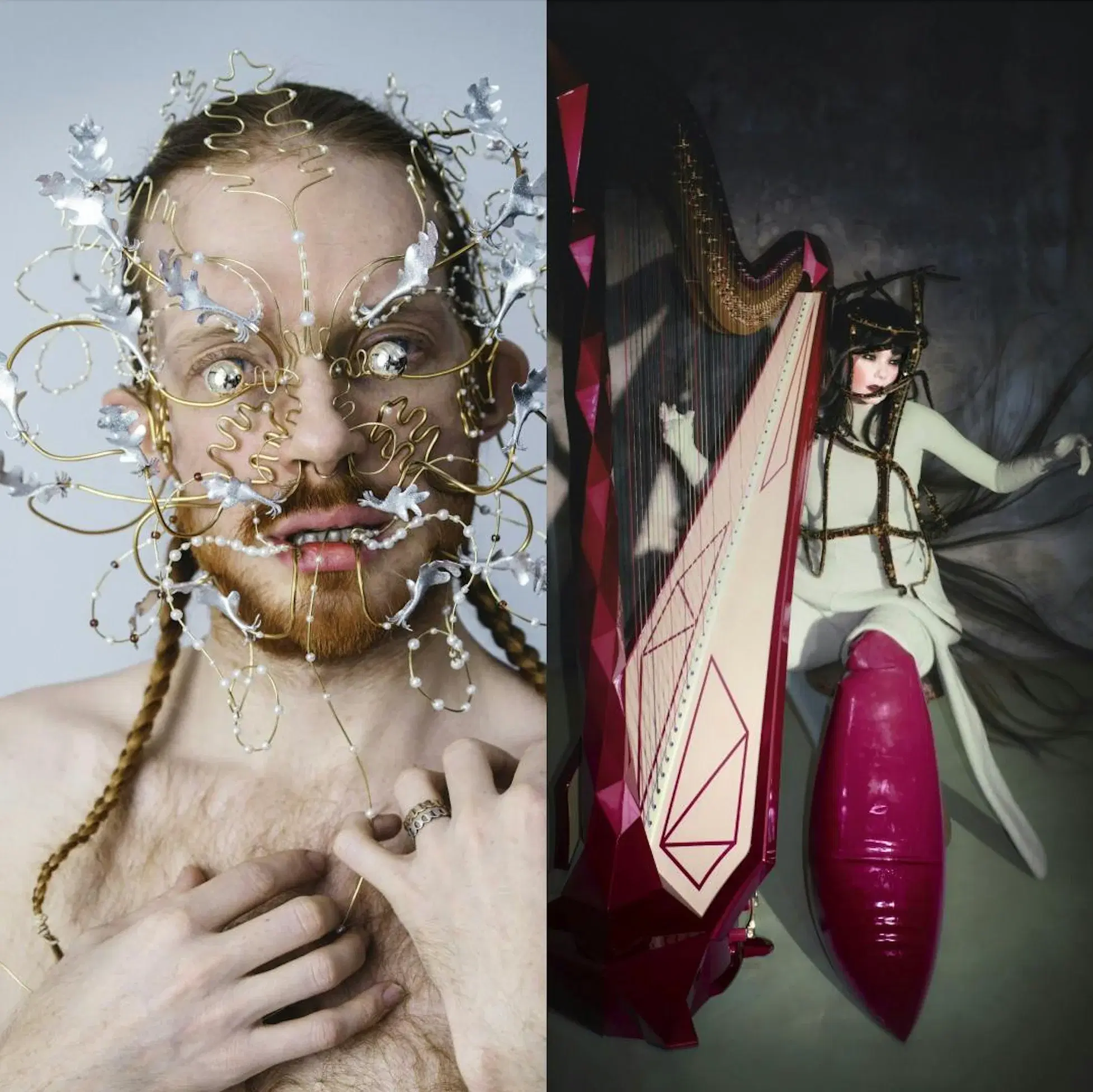 National Gallery of Iceland Björk and James Merry