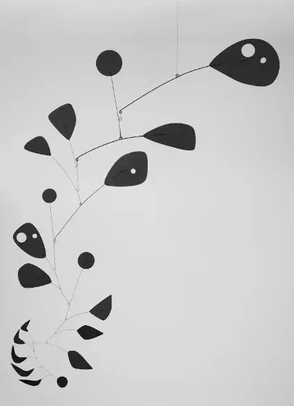 Alexander Calder - Black Widow