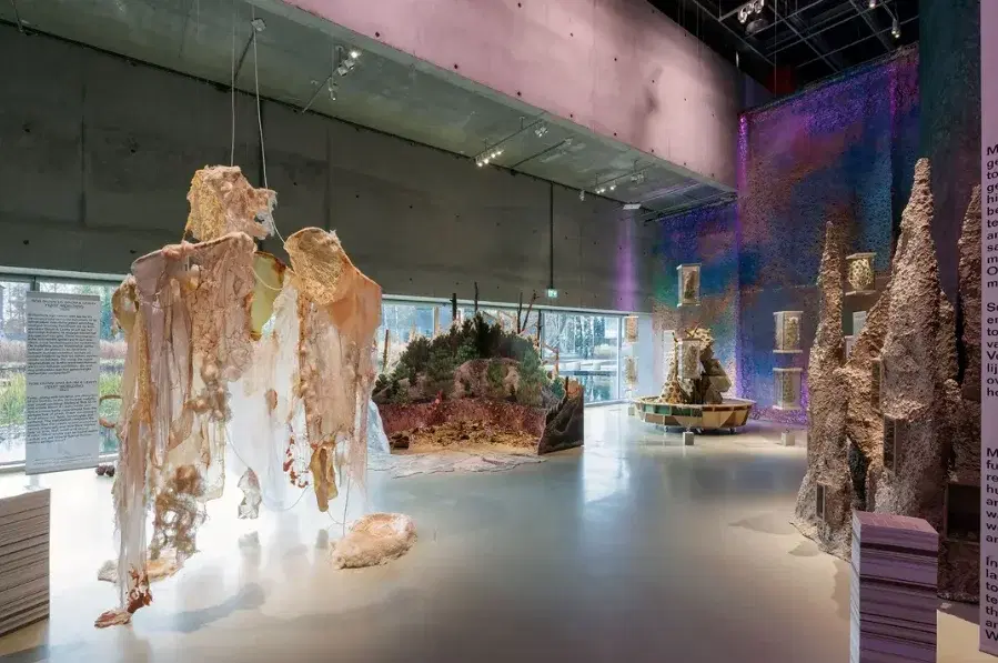 FUNGI: Anarchist Designers