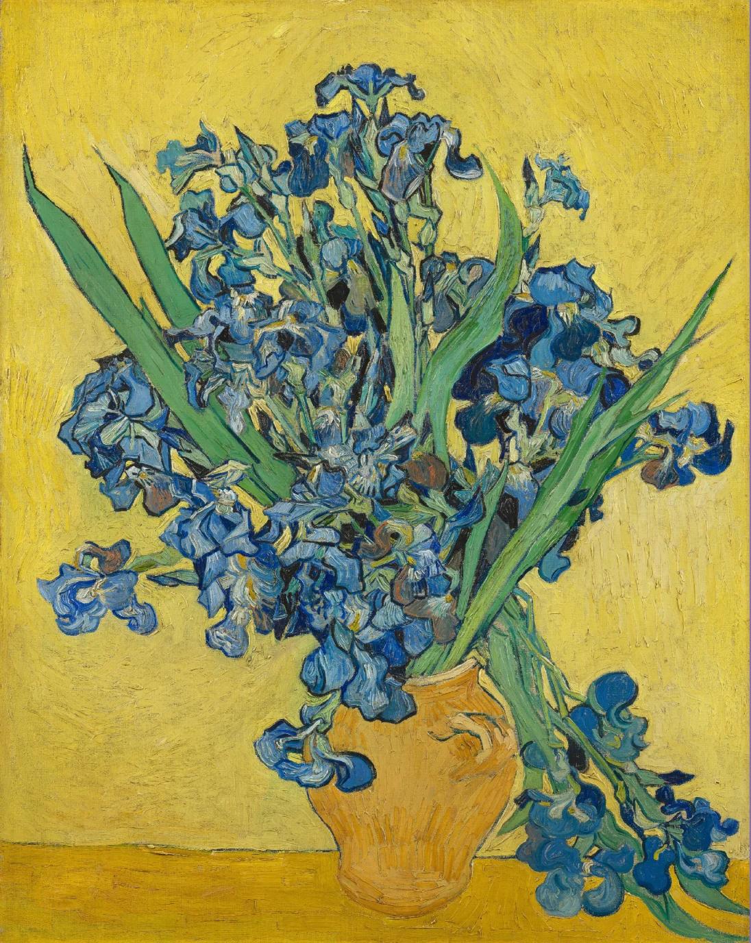 Irises. Vincent van Gogh (1853 - 1890), Saint-Rémy-de-Provence, May 1890
