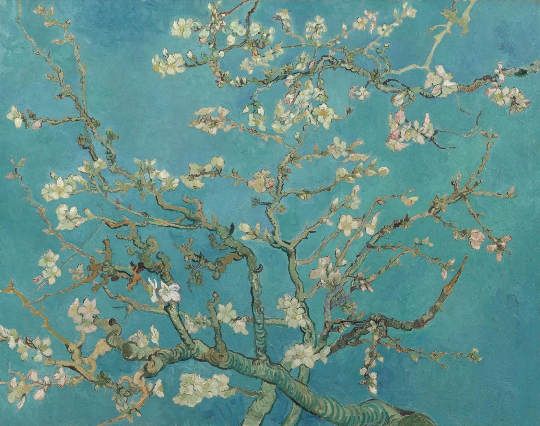 Almond Blossom. Vincent van Gogh (1853 - 1890), Saint-Rémy-de-Provence, February 1890