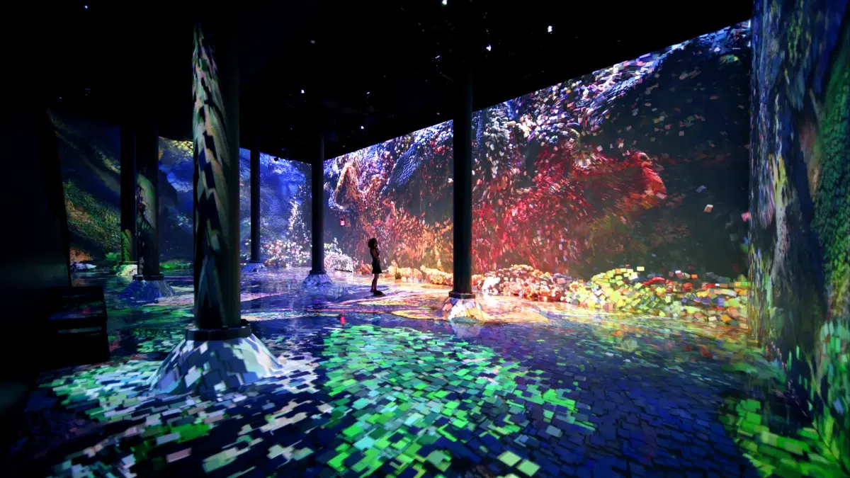 ARTECHOUSE NYC