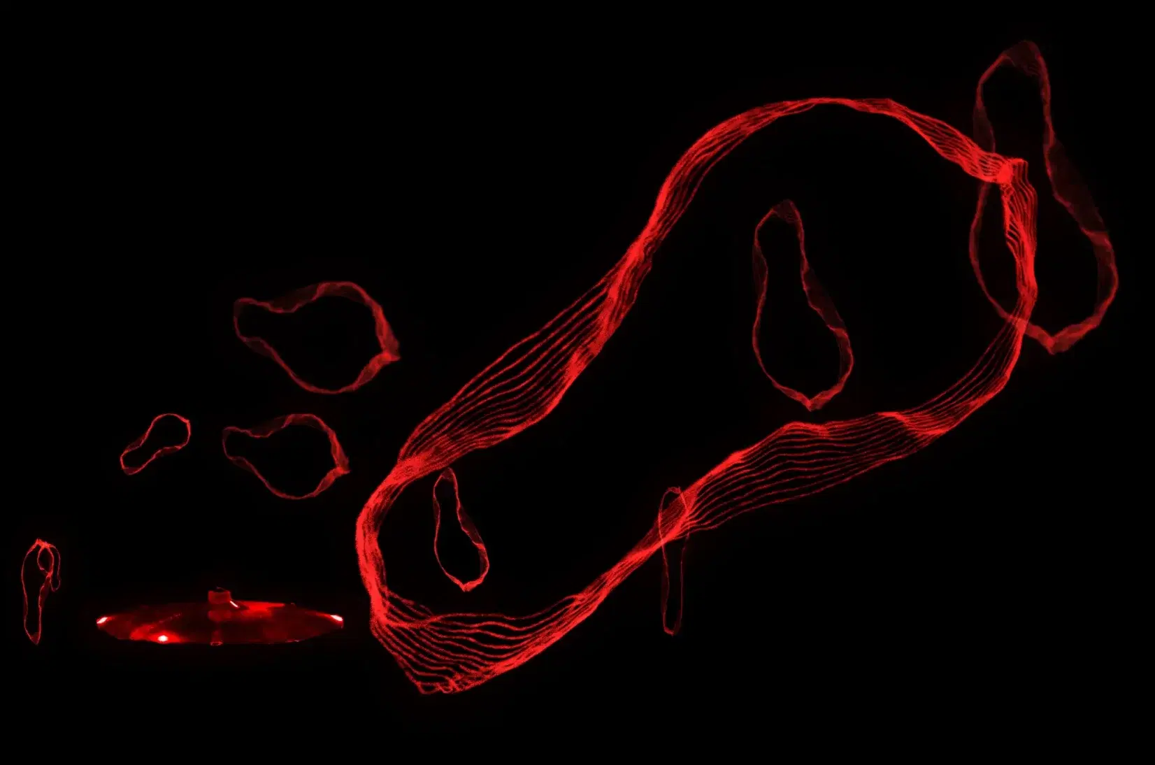 Alba Triana. La vida de lo no vivo