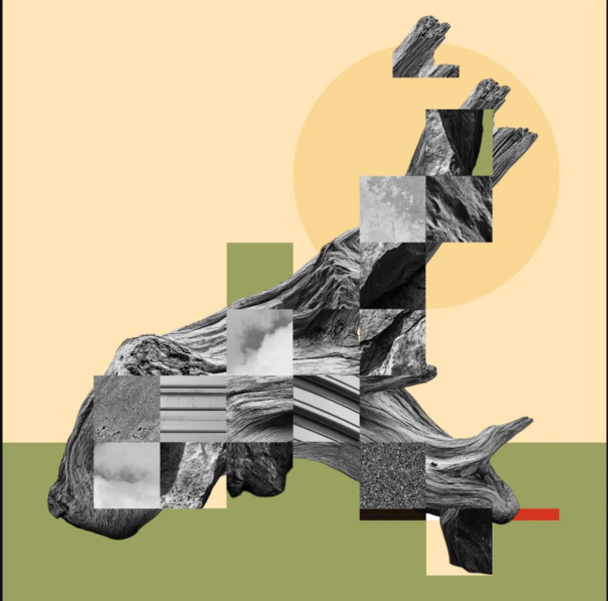 Arde el día – Paisaje y pintura desde Rafael Botí hasta la actualidad