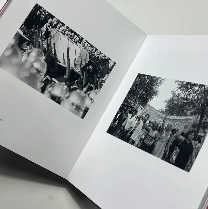 Colita. Art and Part.