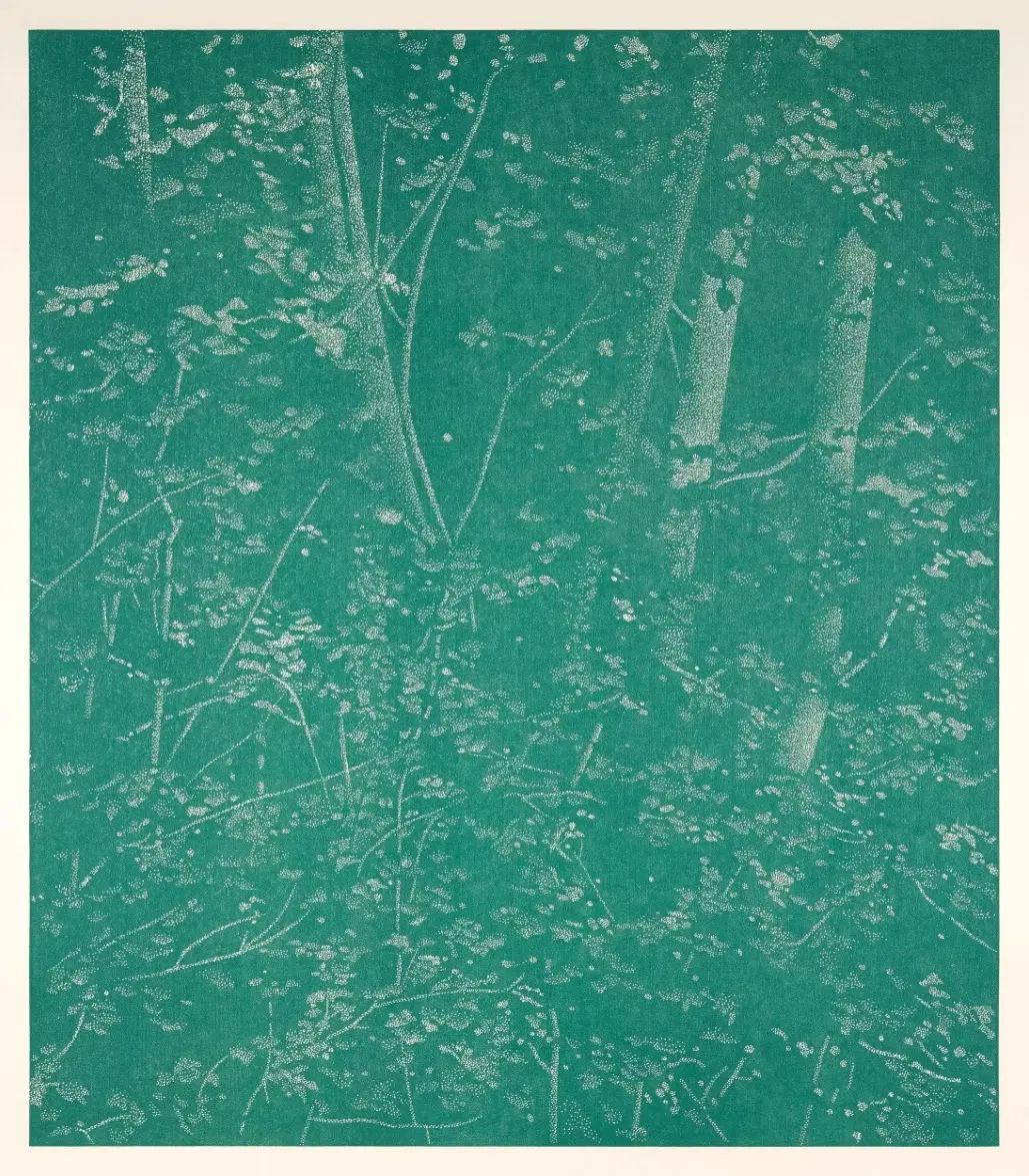 Woodcut on Kumohadamashi Japanese paper by Heizaburo Iwano