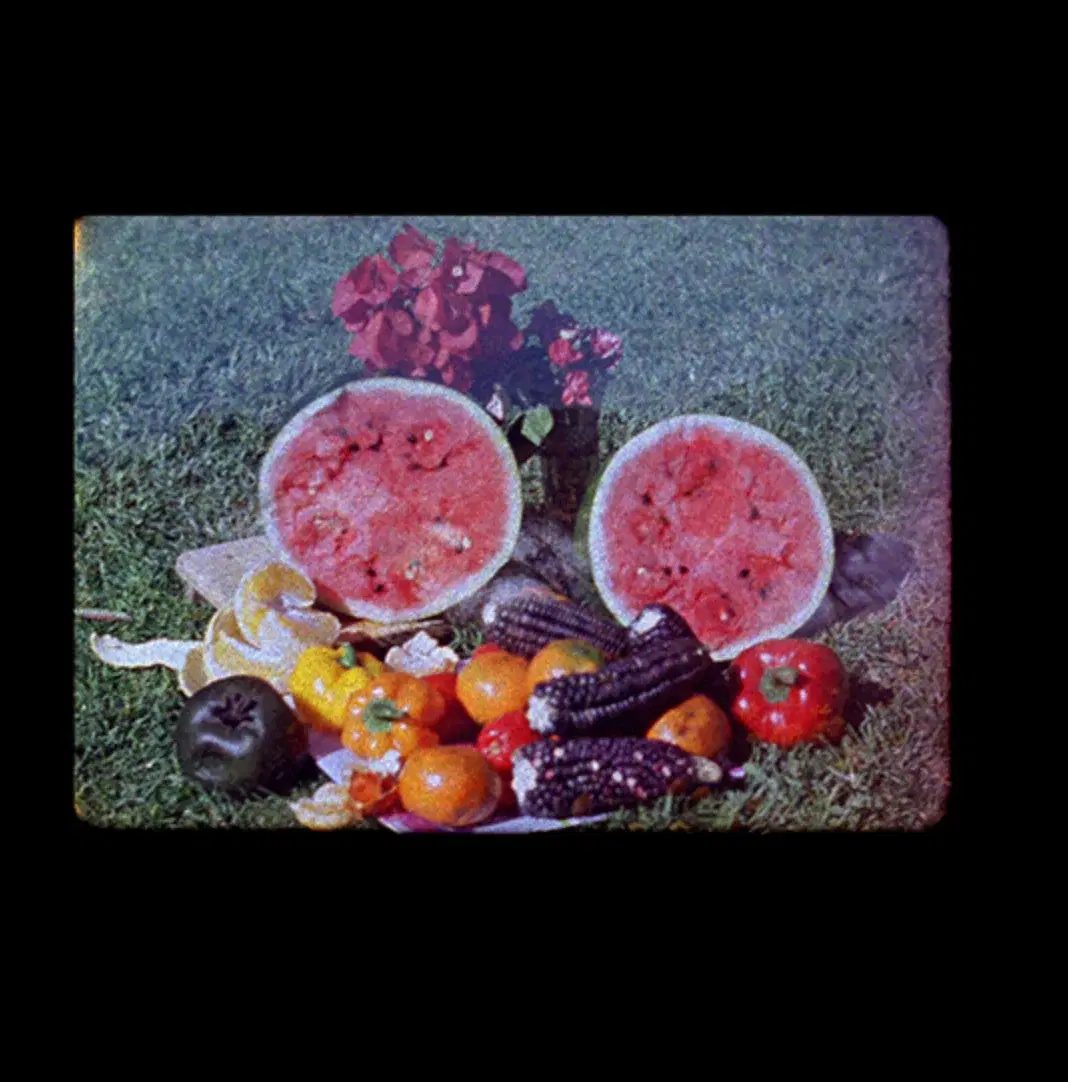 Looking Through a Circle in a Circle of Looks