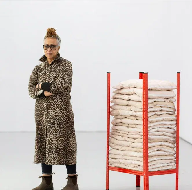 Veronica Ryan: Conversaciones múltiples