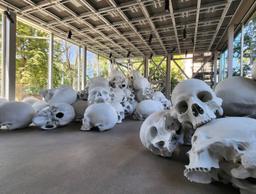 Fundación Cartier de Arte Contemporáneo