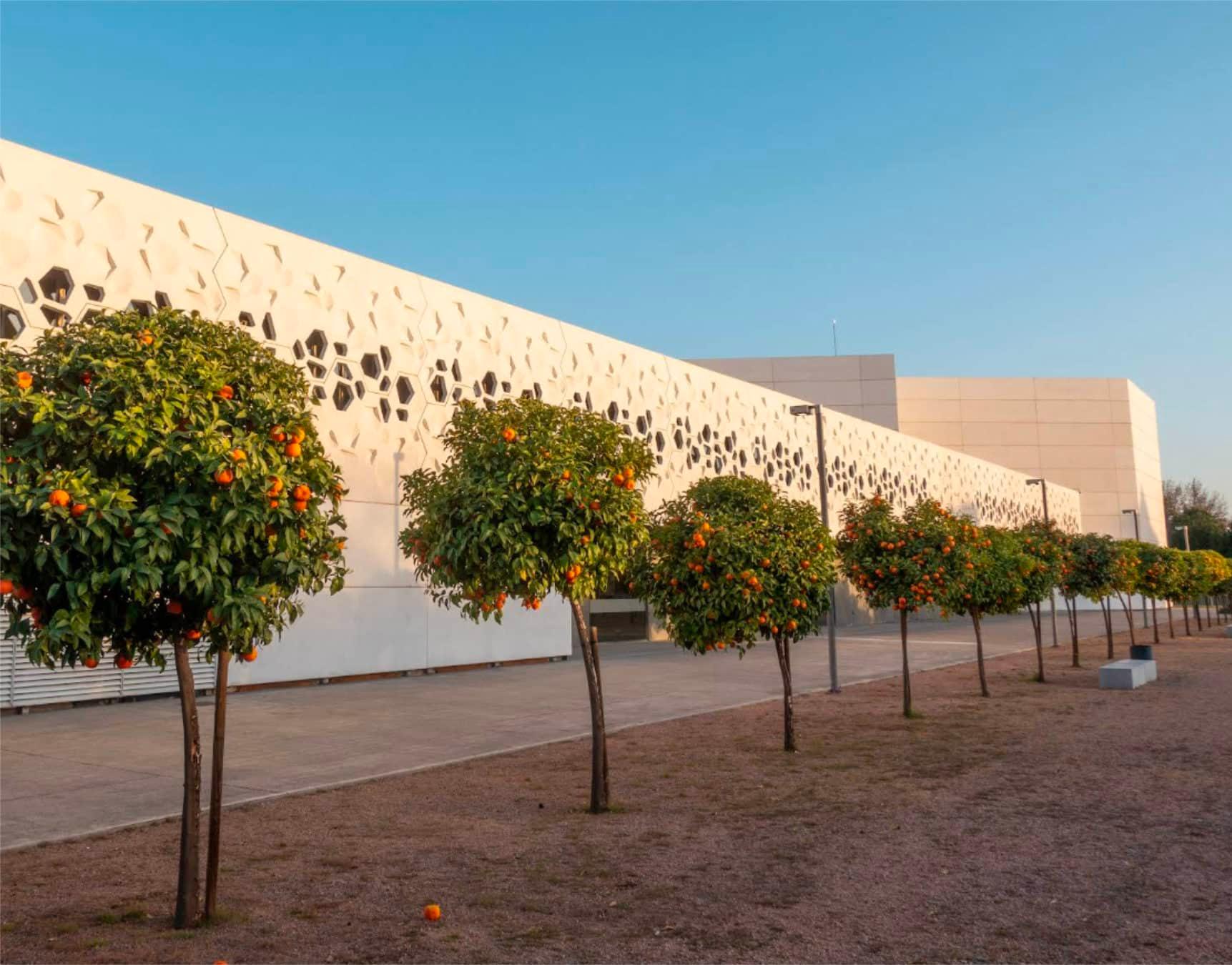 Centro de Creación Contemporánea de Andalucía